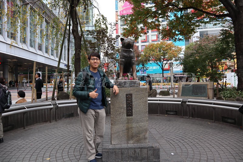 Hachiko Statue Shibuya