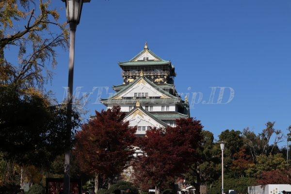 Osaka Castle Saat Musim Gugur