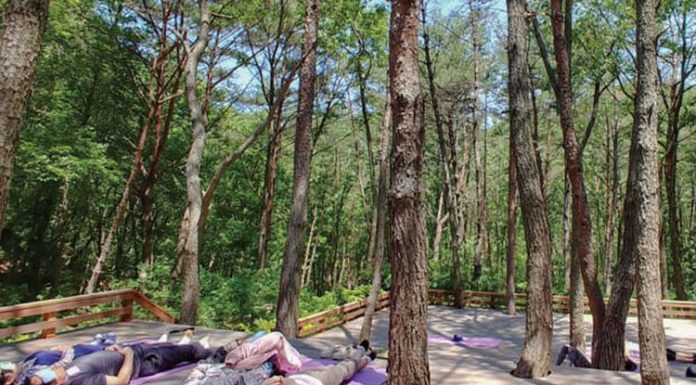 Tempat Healing di Bandung: Healing Forest Ranca Upas Tempat Healing di Bandung