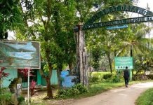 Itinerary ke Meru Betiri Itinerary ke Meru Betiri